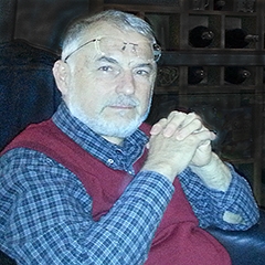 IVAN TONCHEV - PROFESSIONAL EXPERIENCE